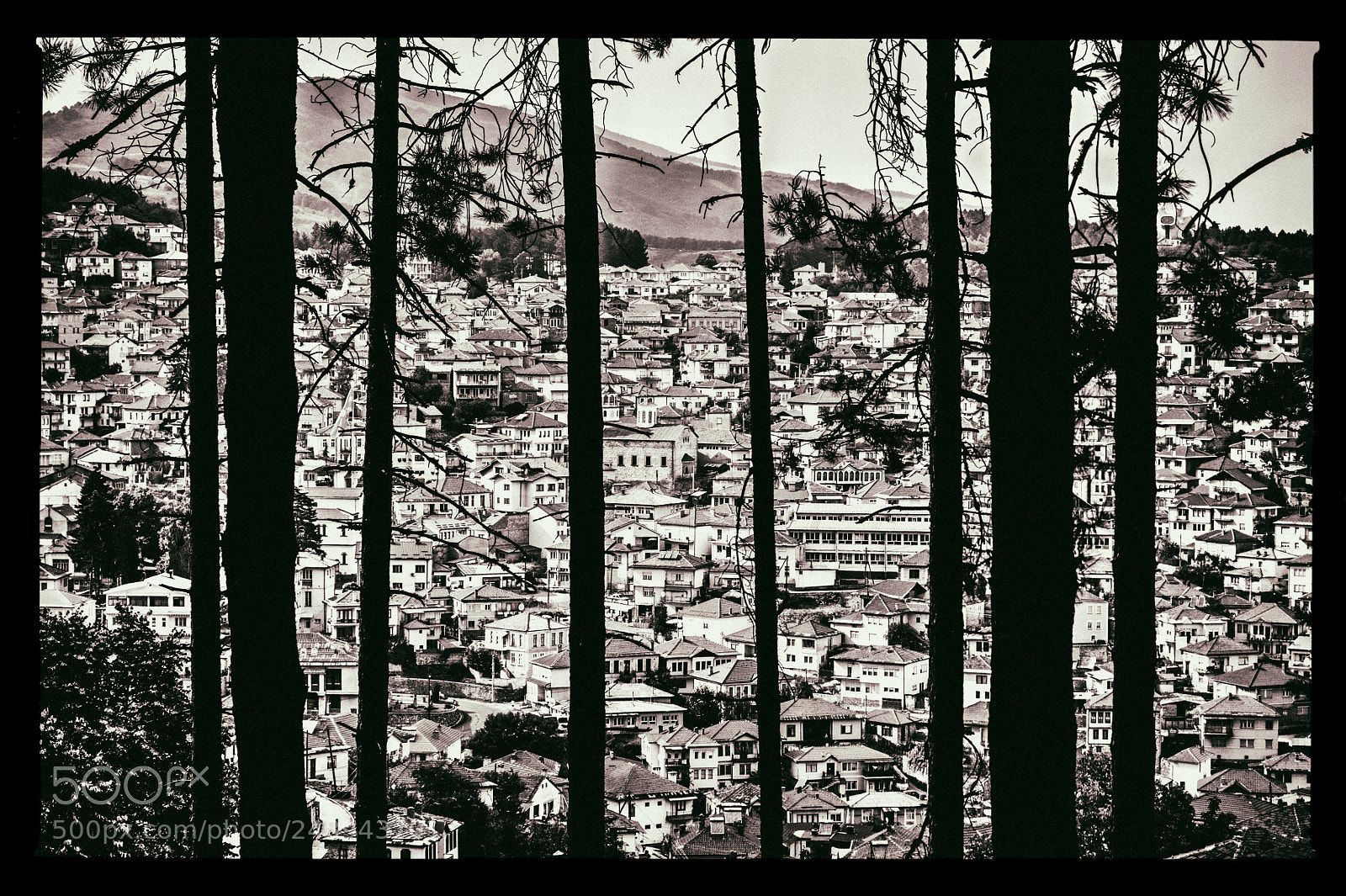 Nikon D5000 sample photo. Behind the trees photography