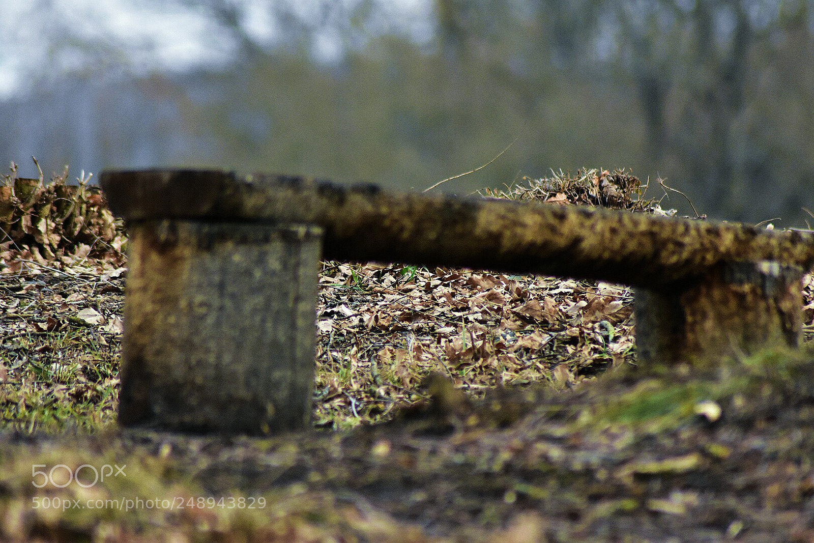Nikon D3400 sample photo. Untitled photography