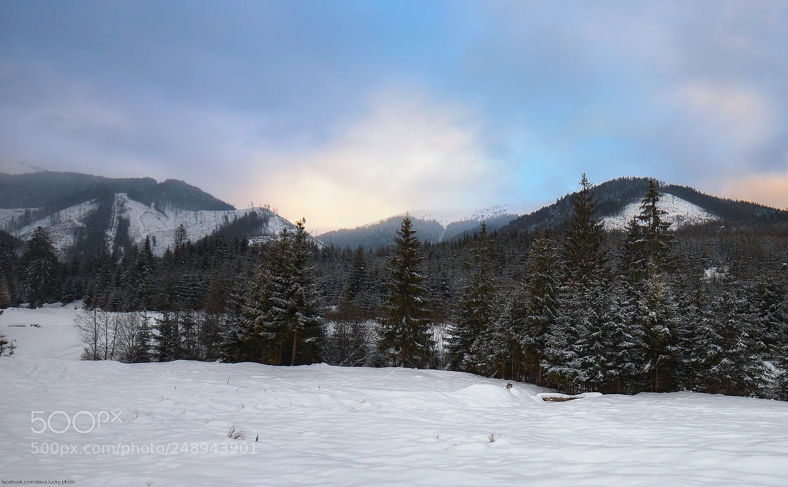 Nikon D610 sample photo. To the mountains! photography