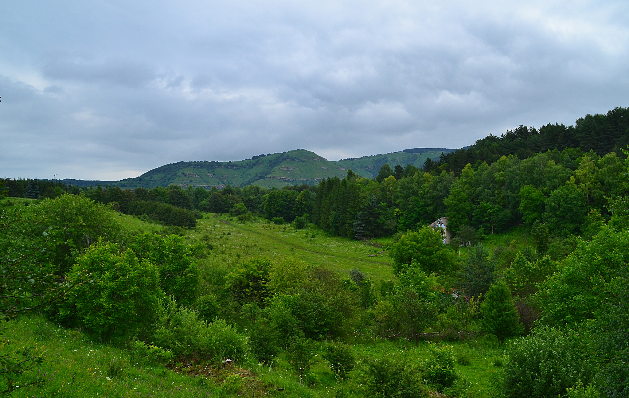 Nikon D3100 sample photo. Gardens and mountains photography