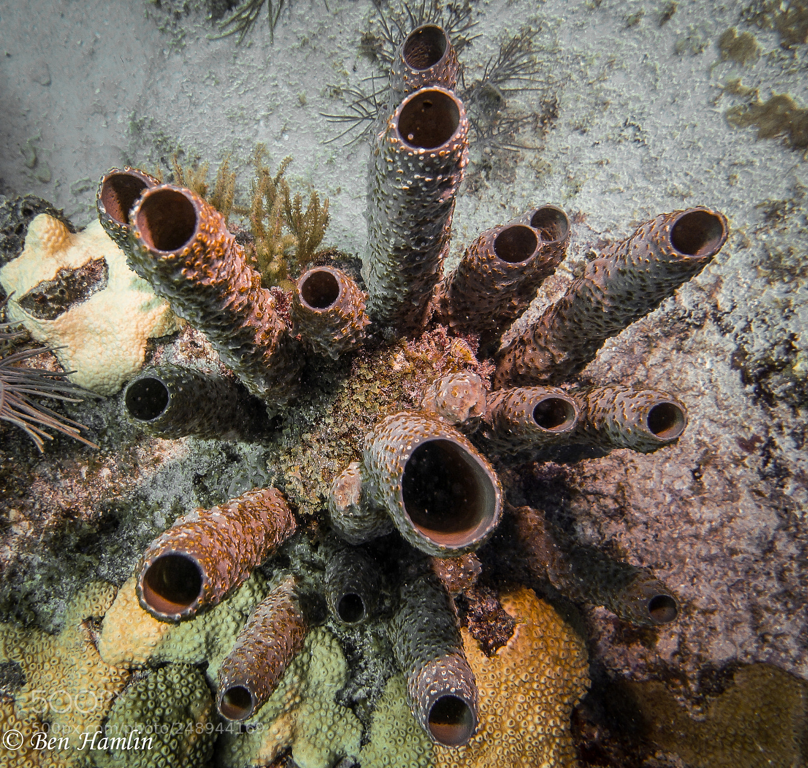 Sony Alpha NEX-6 sample photo. Dsc photography