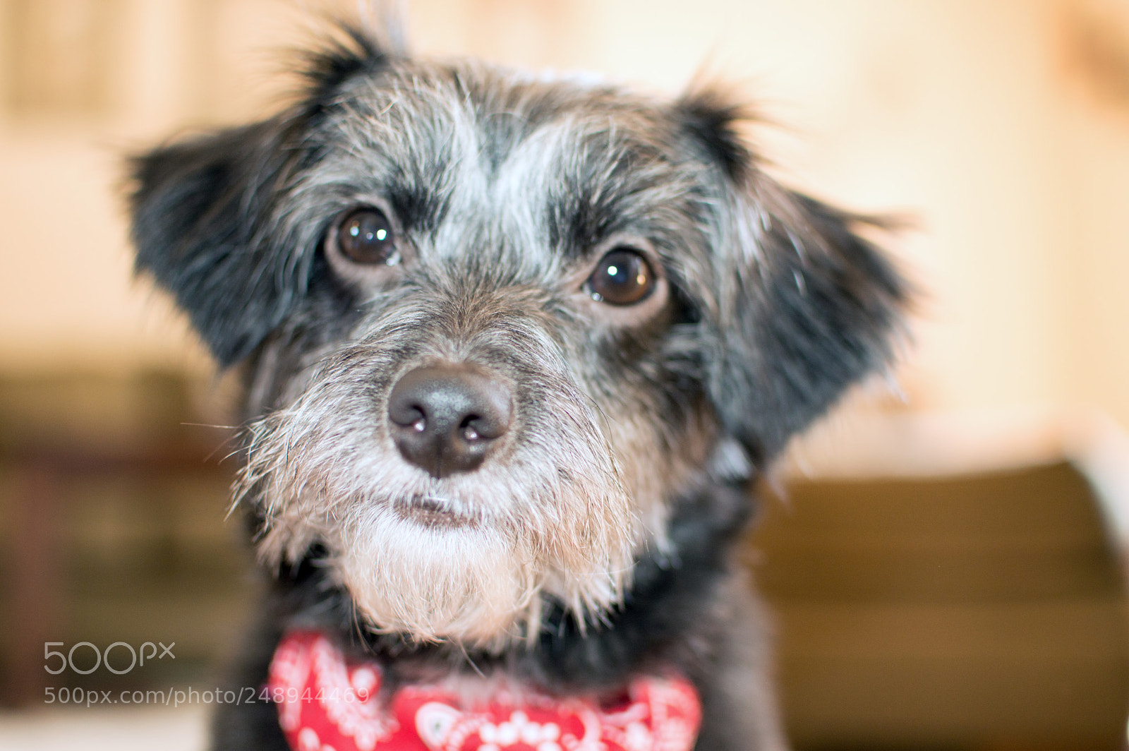 Nikon D3200 sample photo. Jinx photography