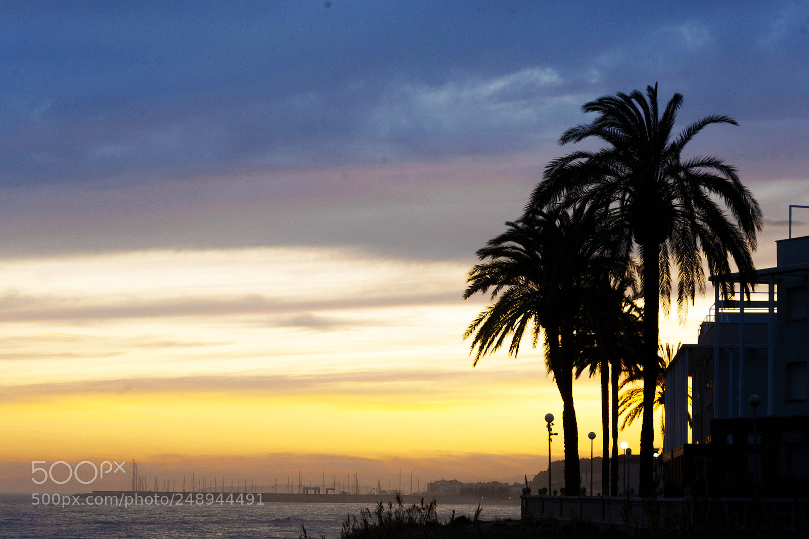 Nikon D3100 sample photo. Untitled photography