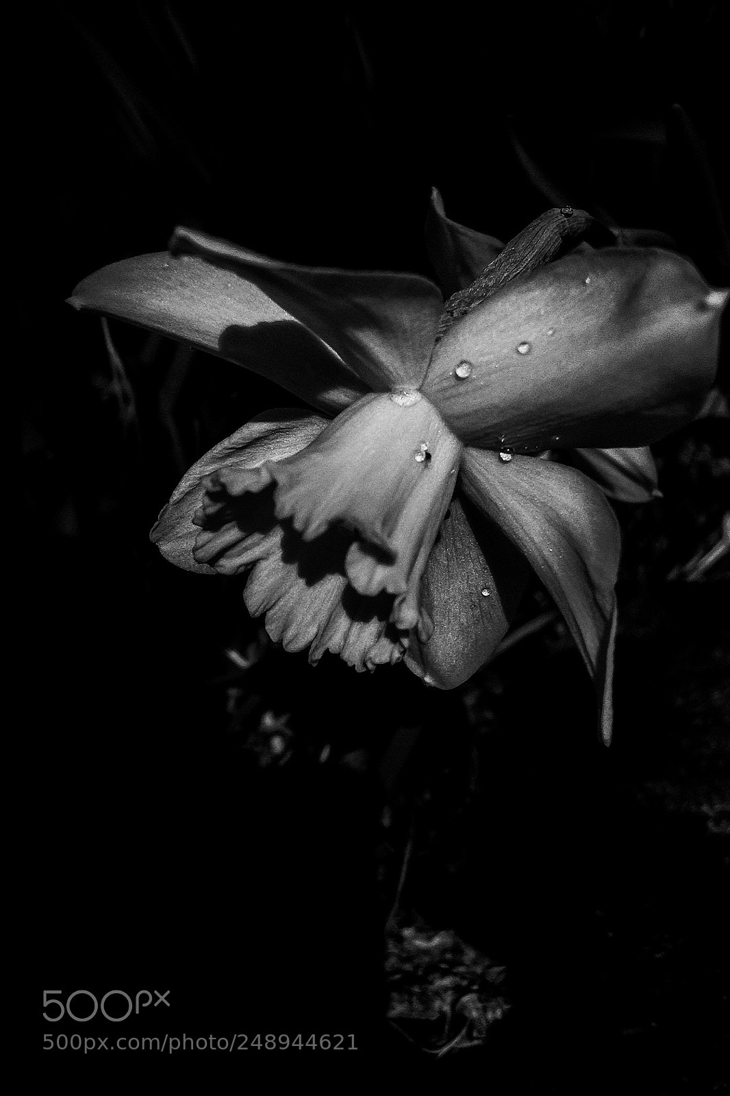 Apple iPhone 4S sample photo. Bound in monotony. photography