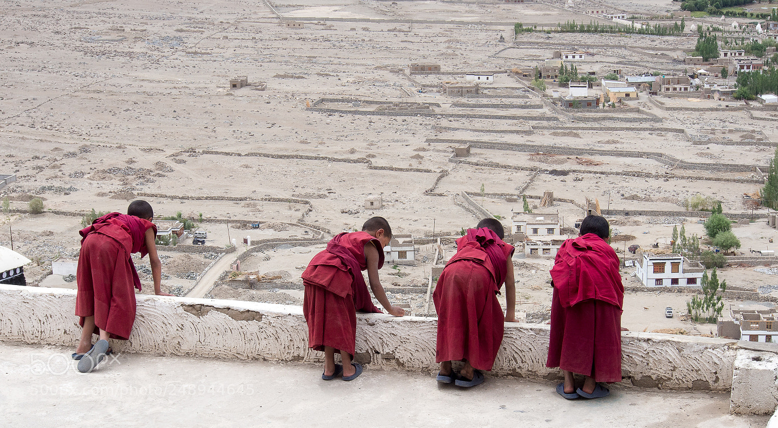 Olympus OM-D E-M5 sample photo. Young buddhists photography