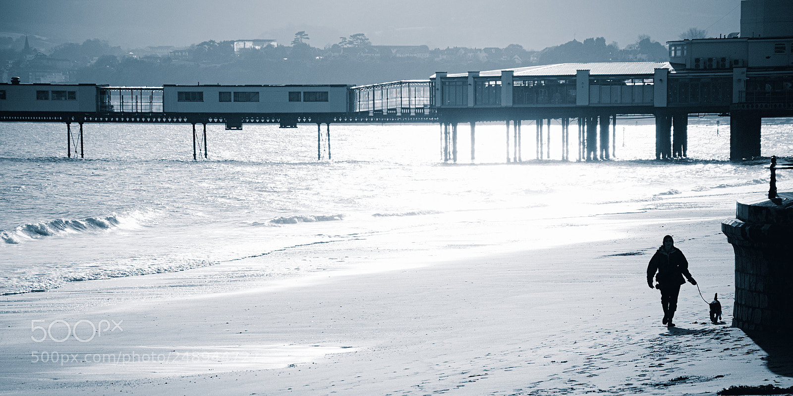 Nikon D7000 sample photo. Dog walker by sandown photography