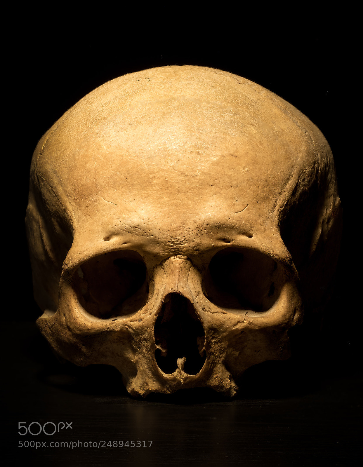 Fujifilm X-T2 sample photo. Skull photography