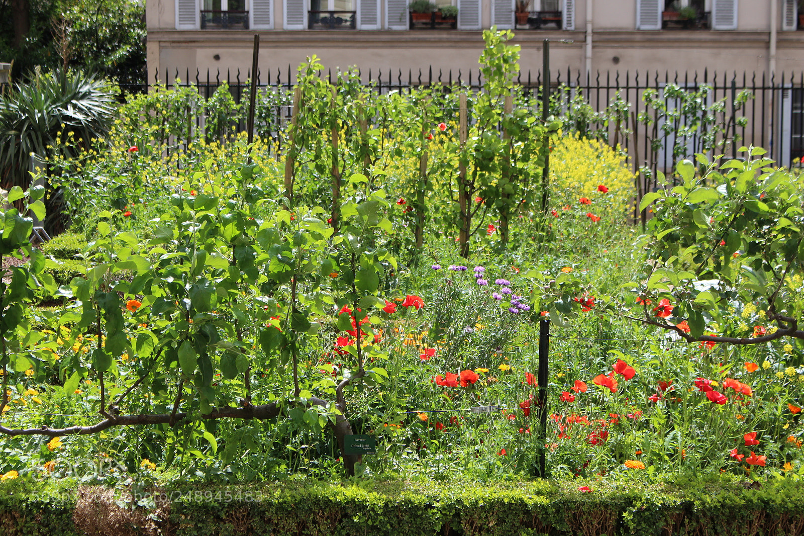 Canon EOS 700D (EOS Rebel T5i / EOS Kiss X7i) sample photo. La pasada primavera photography