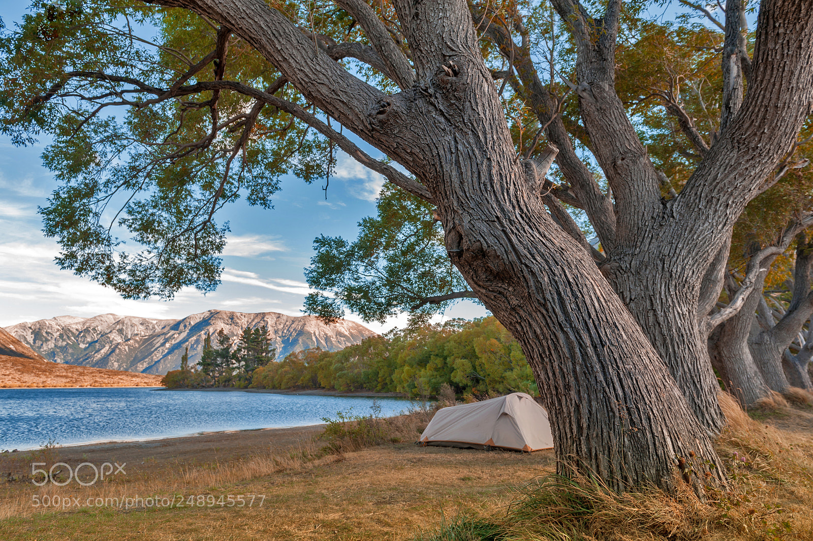 Nikon D700 sample photo. Campsite at lake pearson photography