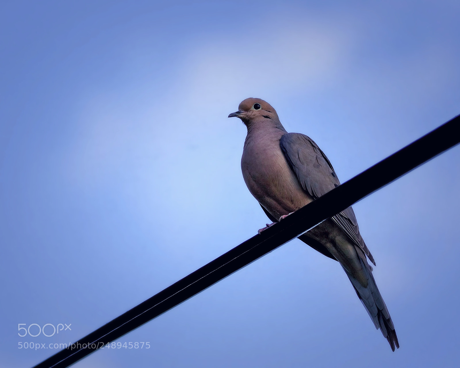 Canon EOS 7D Mark II sample photo. "quiet time" photography