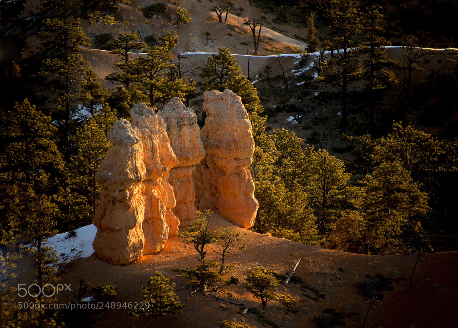 Nikon D800E sample photo. Hoodoo buddies photography