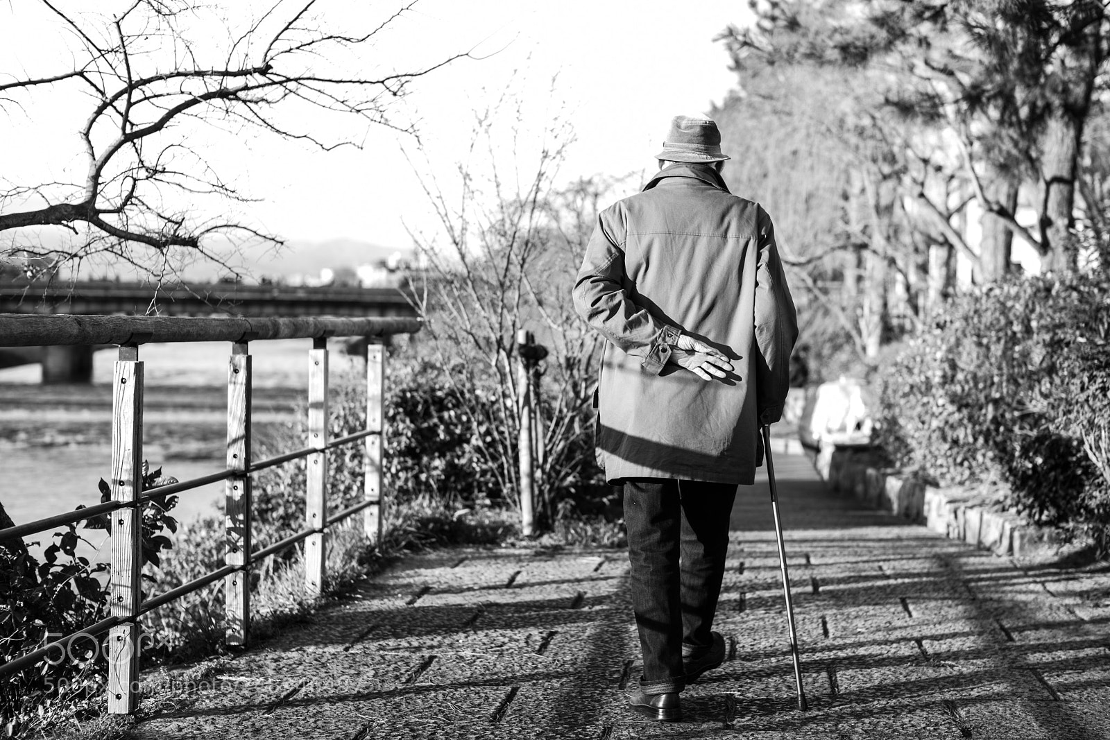 Leica M Monochrom (Typ 246) sample photo. Old gentleman photography