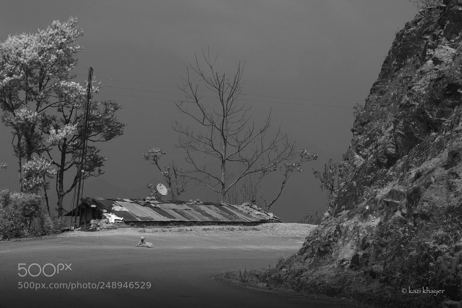 Nikon D7100 sample photo. Serene photography