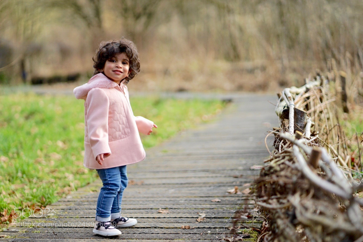 Sony a7 II sample photo. Untitled photography