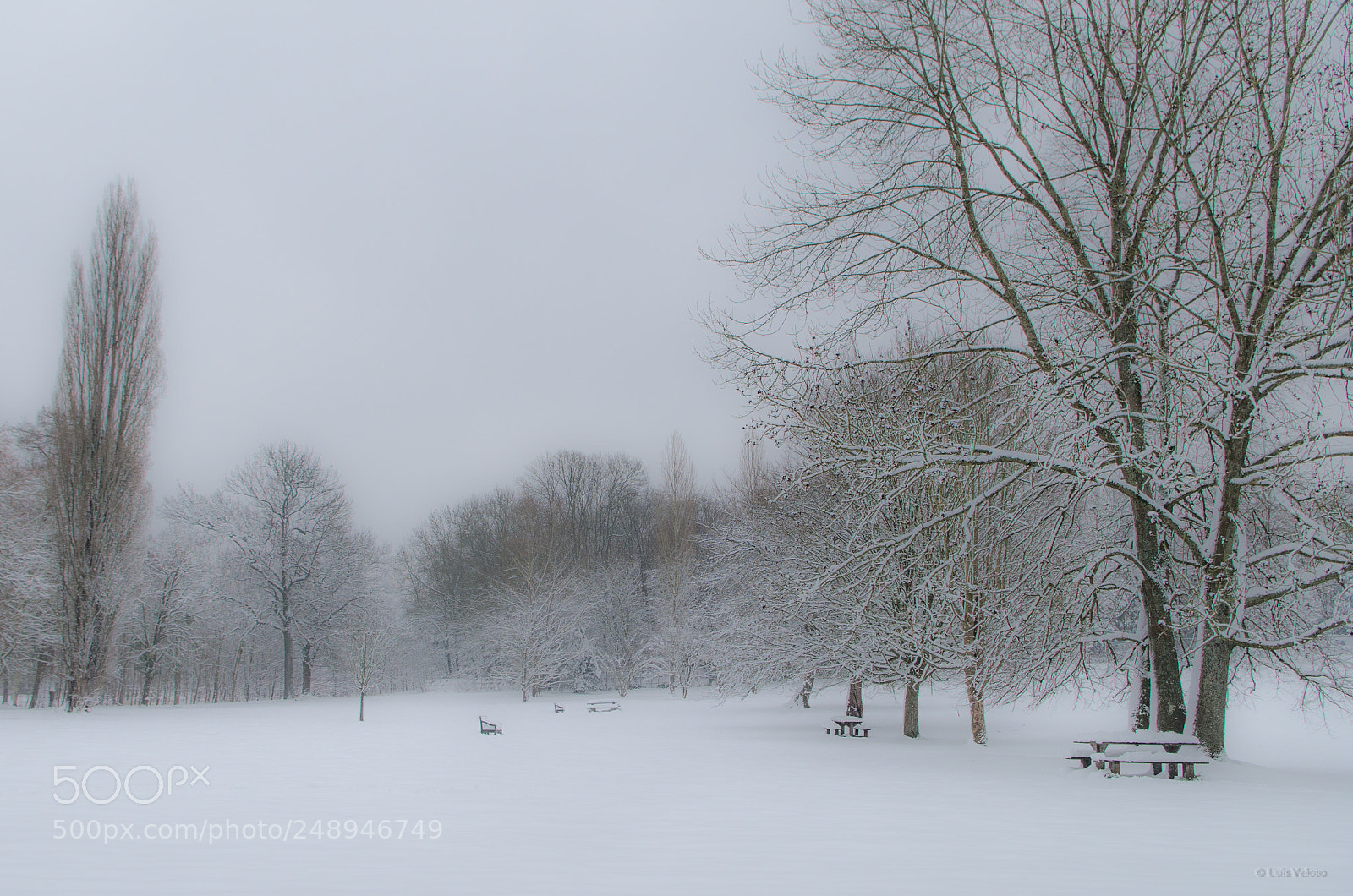 Pentax K-30 sample photo. Versailles park under snow photography