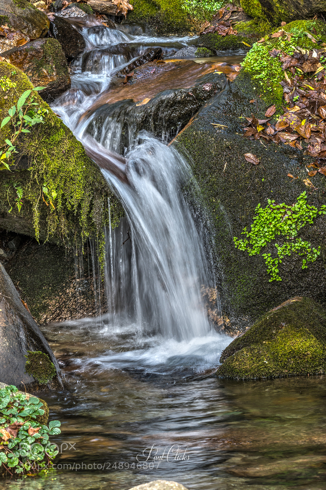 Nikon D500 sample photo. Stream photography