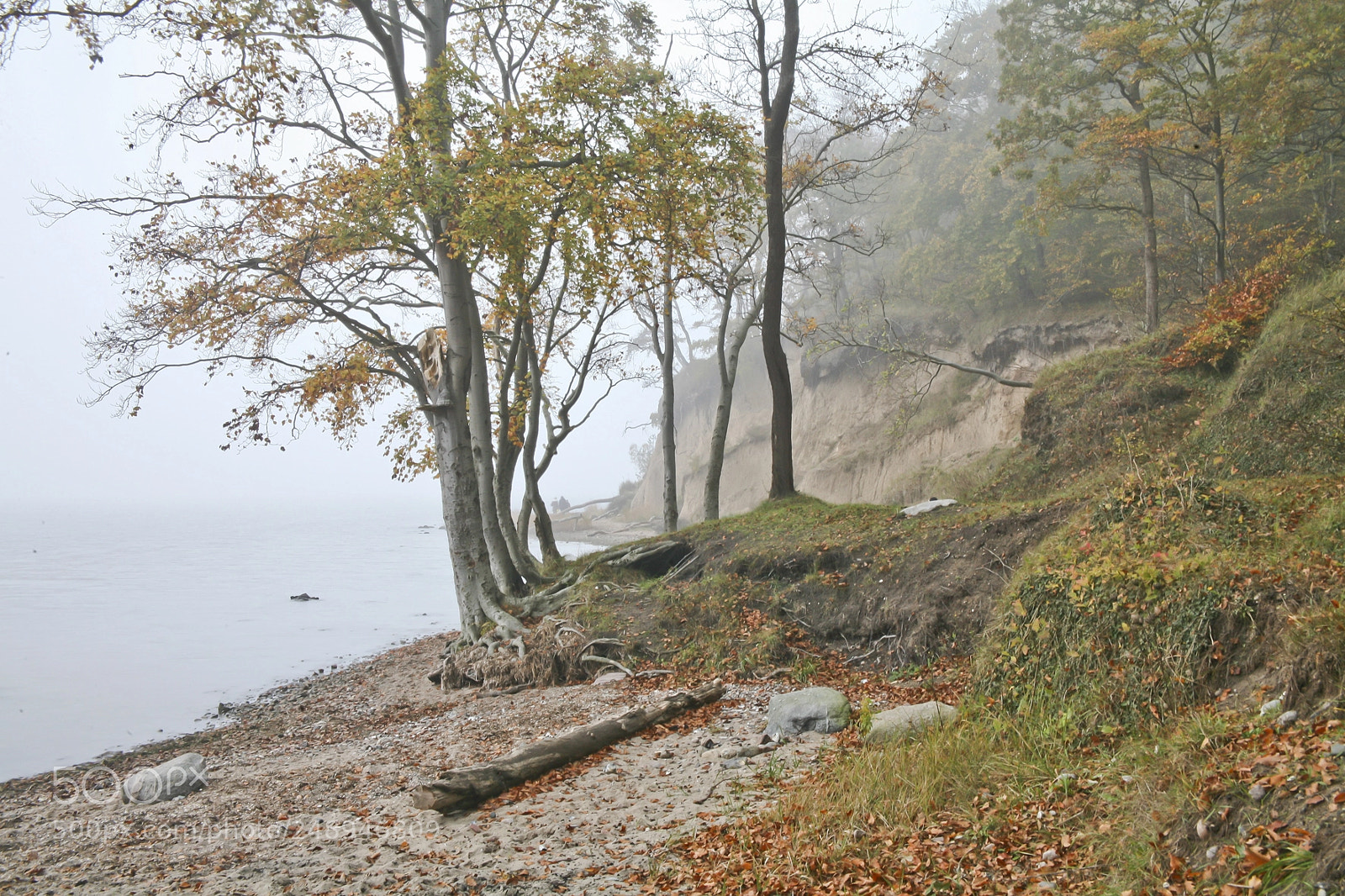 Canon EOS 5D sample photo. Morning mood photography
