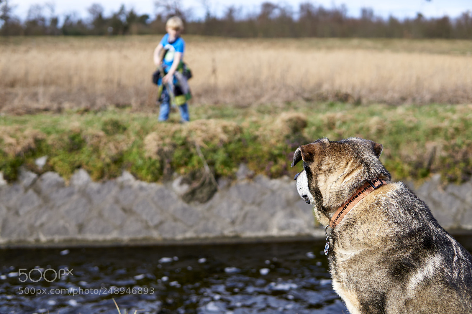 Sony a6000 sample photo. Aufpassen photography