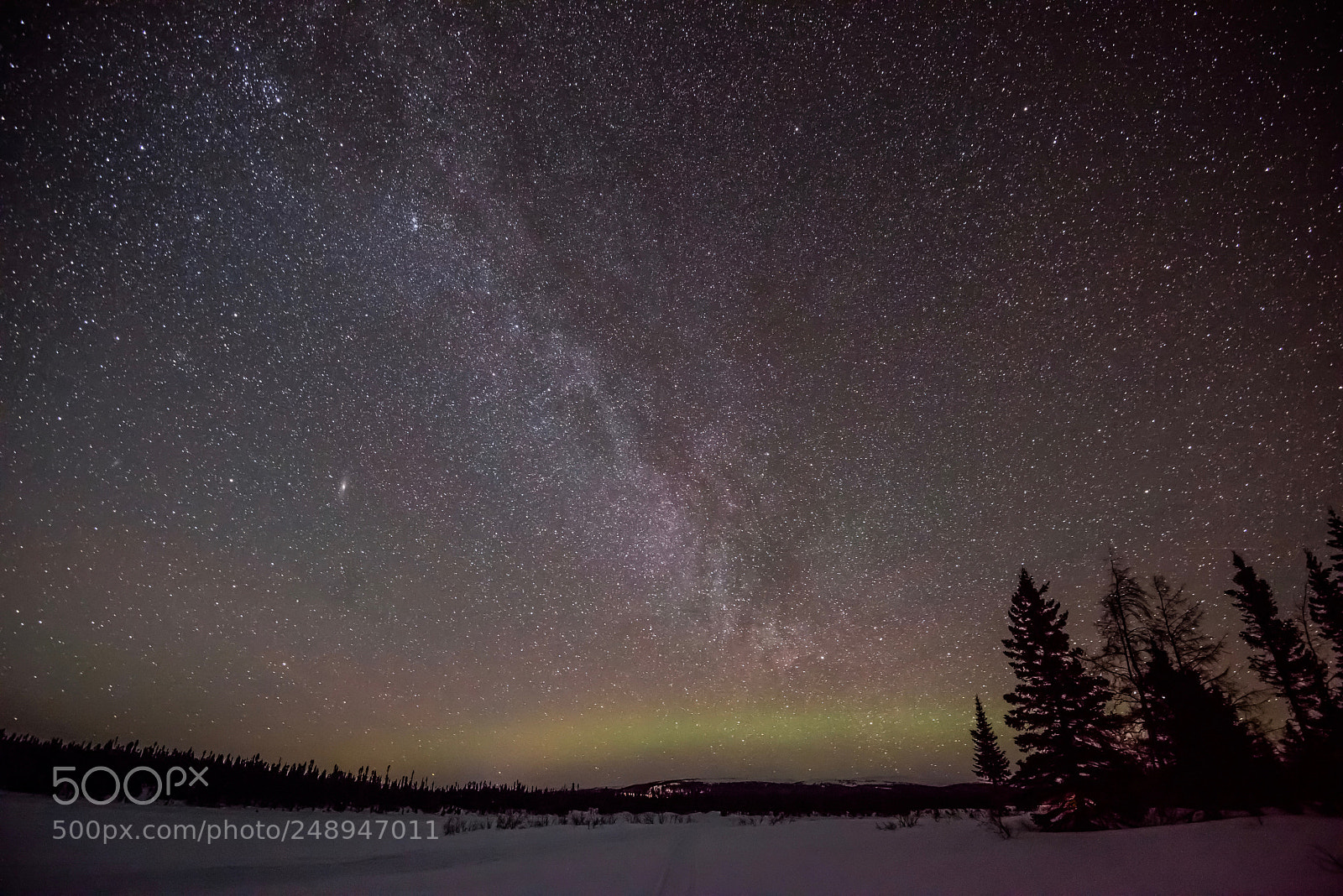Nikon D800 sample photo. Aurora borealis photography