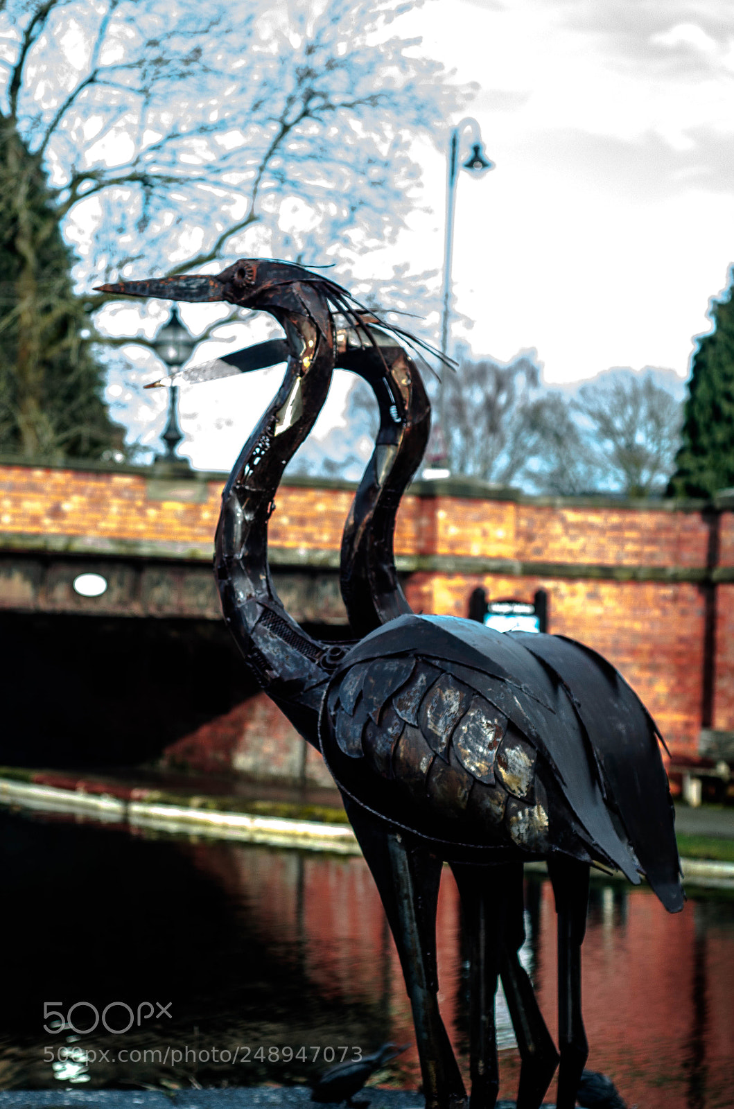 Nikon D7000 sample photo. Fancy a dip? photography