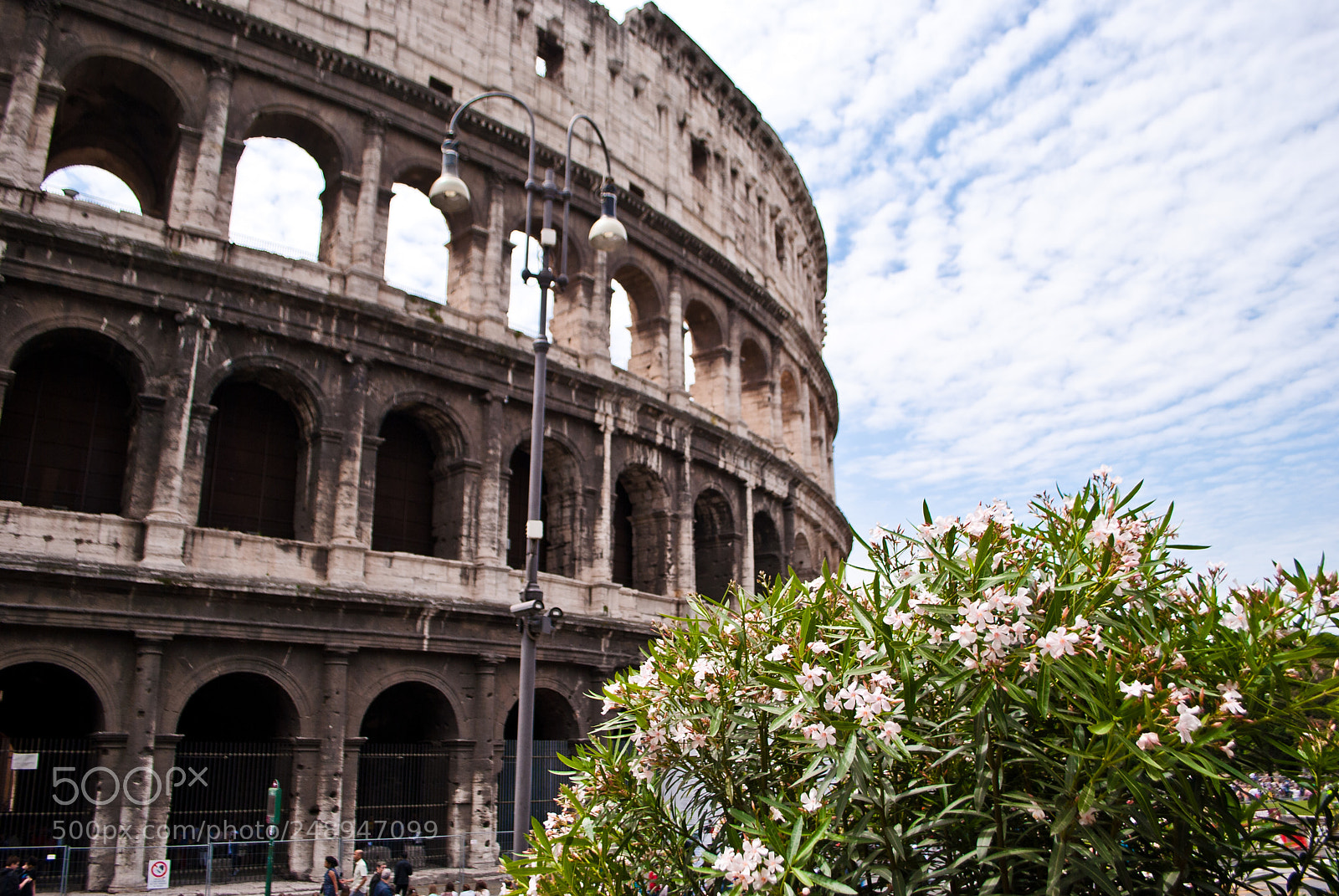 Nikon D60 sample photo. Colosseo in rome photography