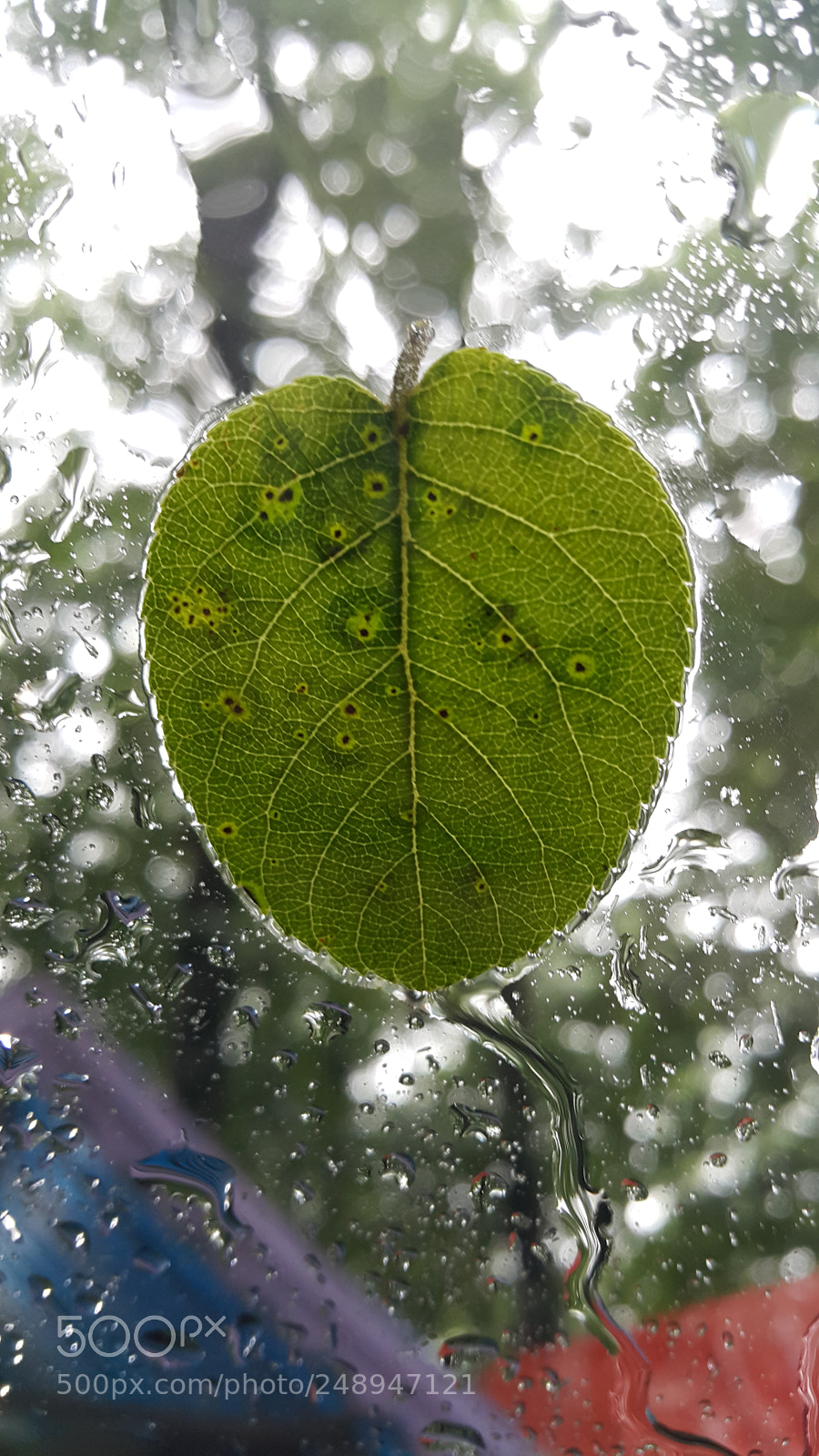 Samsung Galaxy Note4 sample photo. Untitled photography
