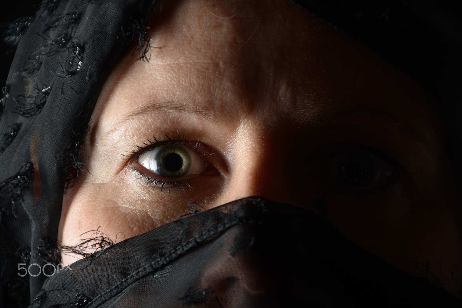 Nikon D5200 sample photo. Blue eye photography