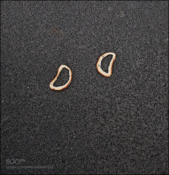 Canon EOS 7D Mark II sample photo. Untitled photography