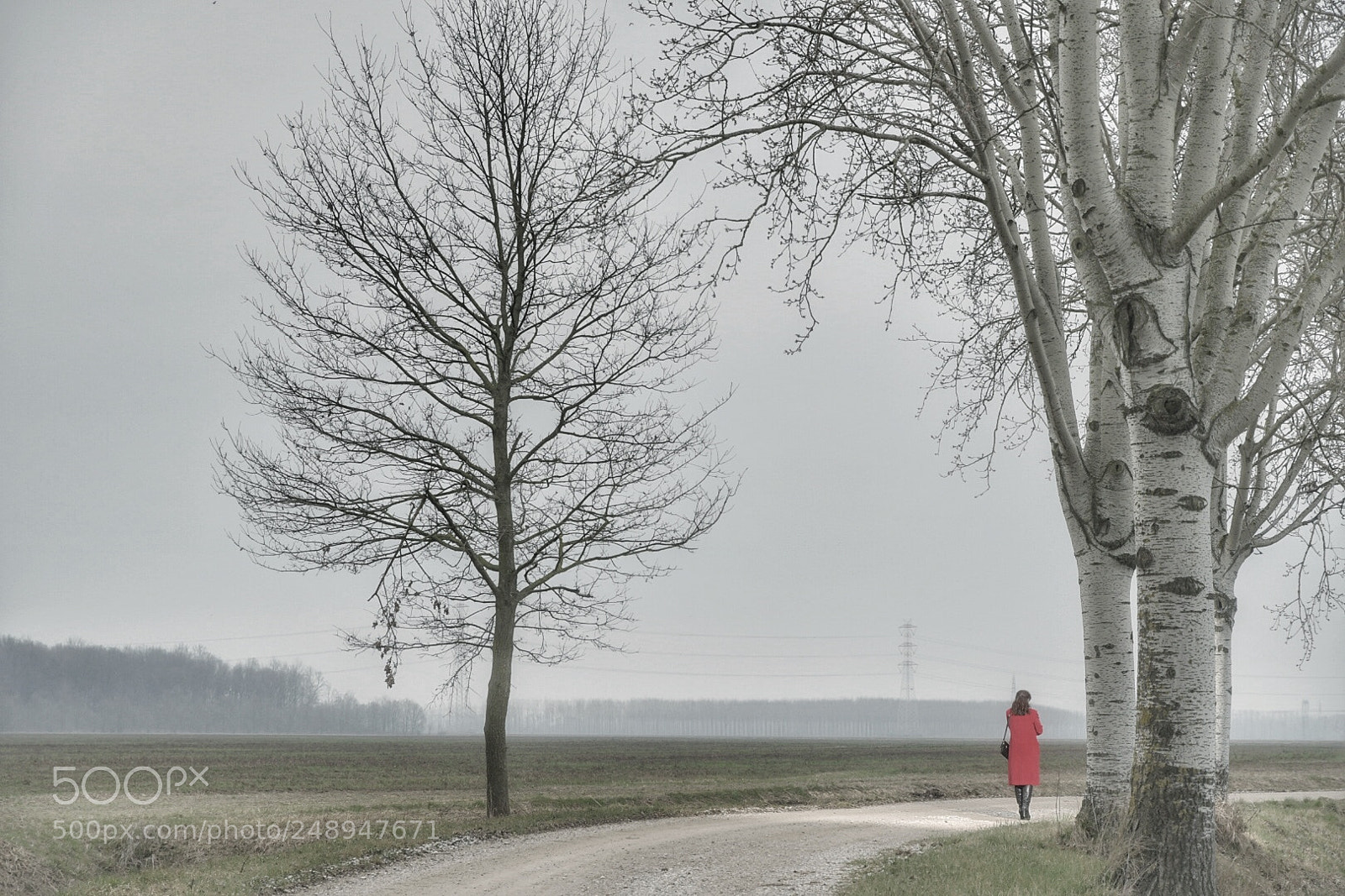 Nikon D500 sample photo. Untitled photography