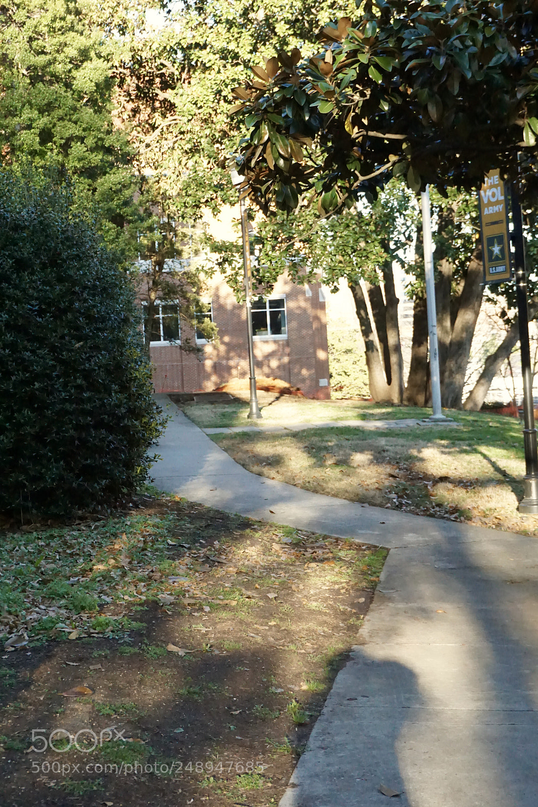 Sony a5100 sample photo. Exploring knoxville photography