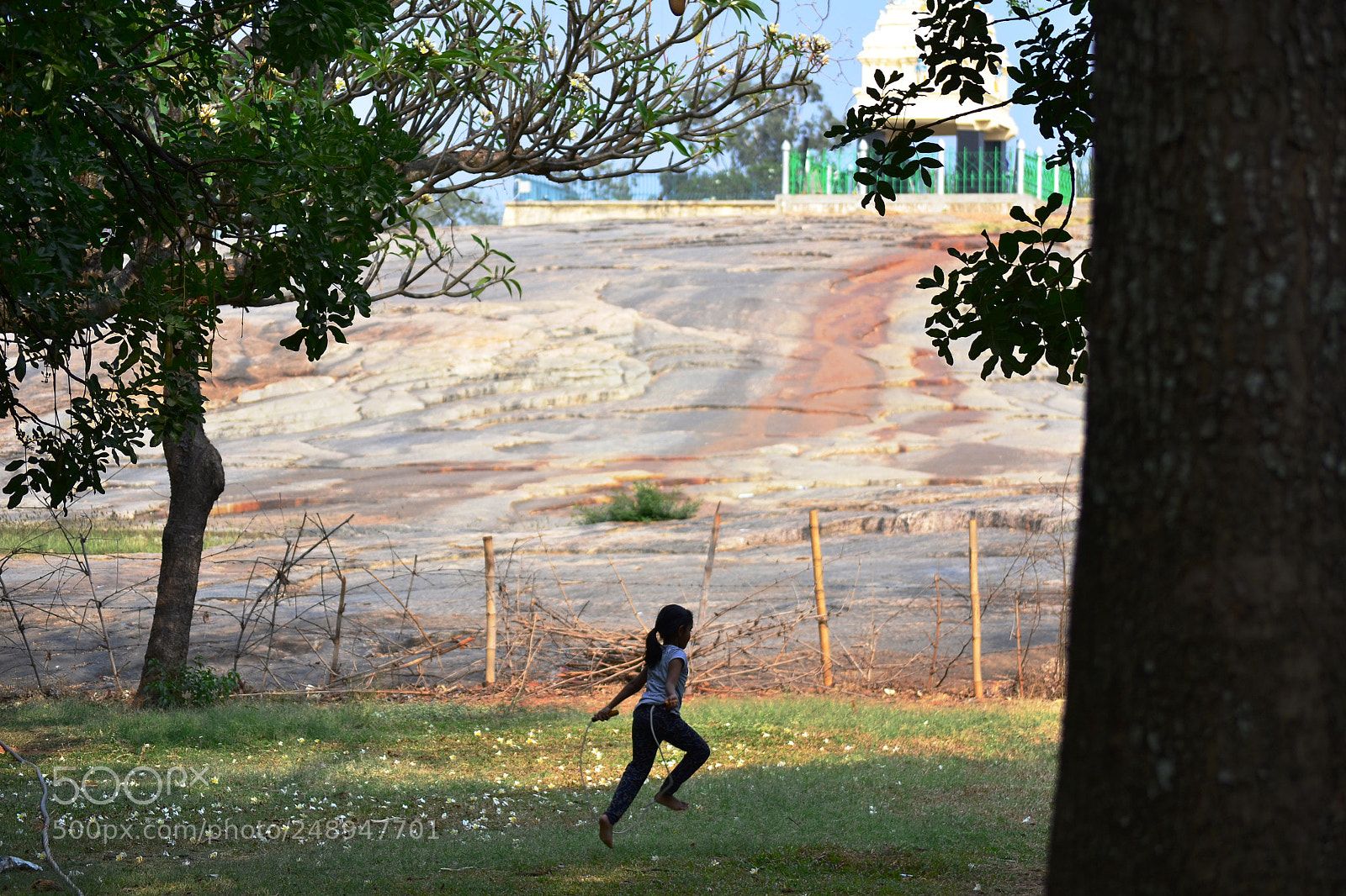 Nikon D3100 sample photo. An evening walk in photography