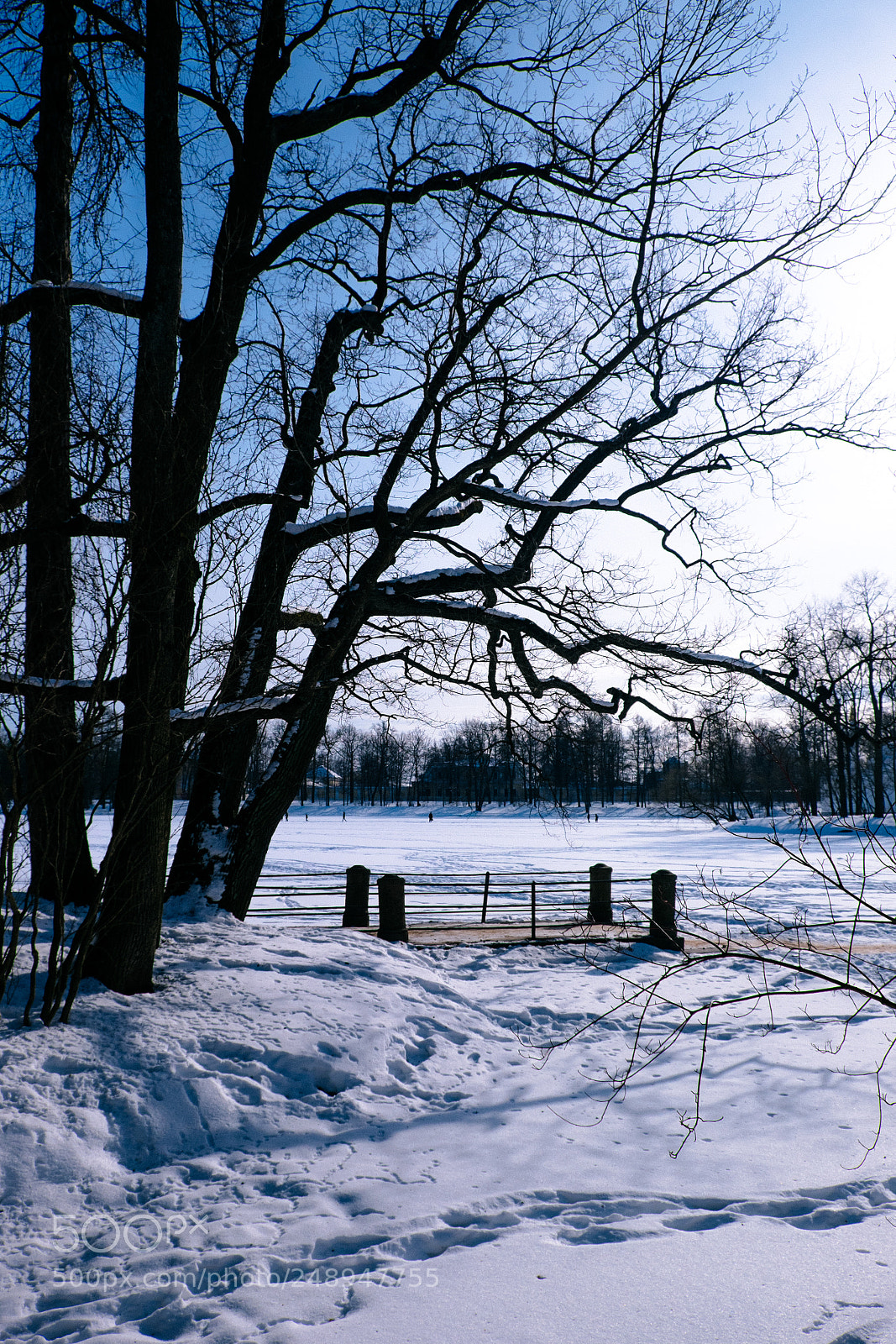 Fujifilm X-T1 sample photo. Footprints photography