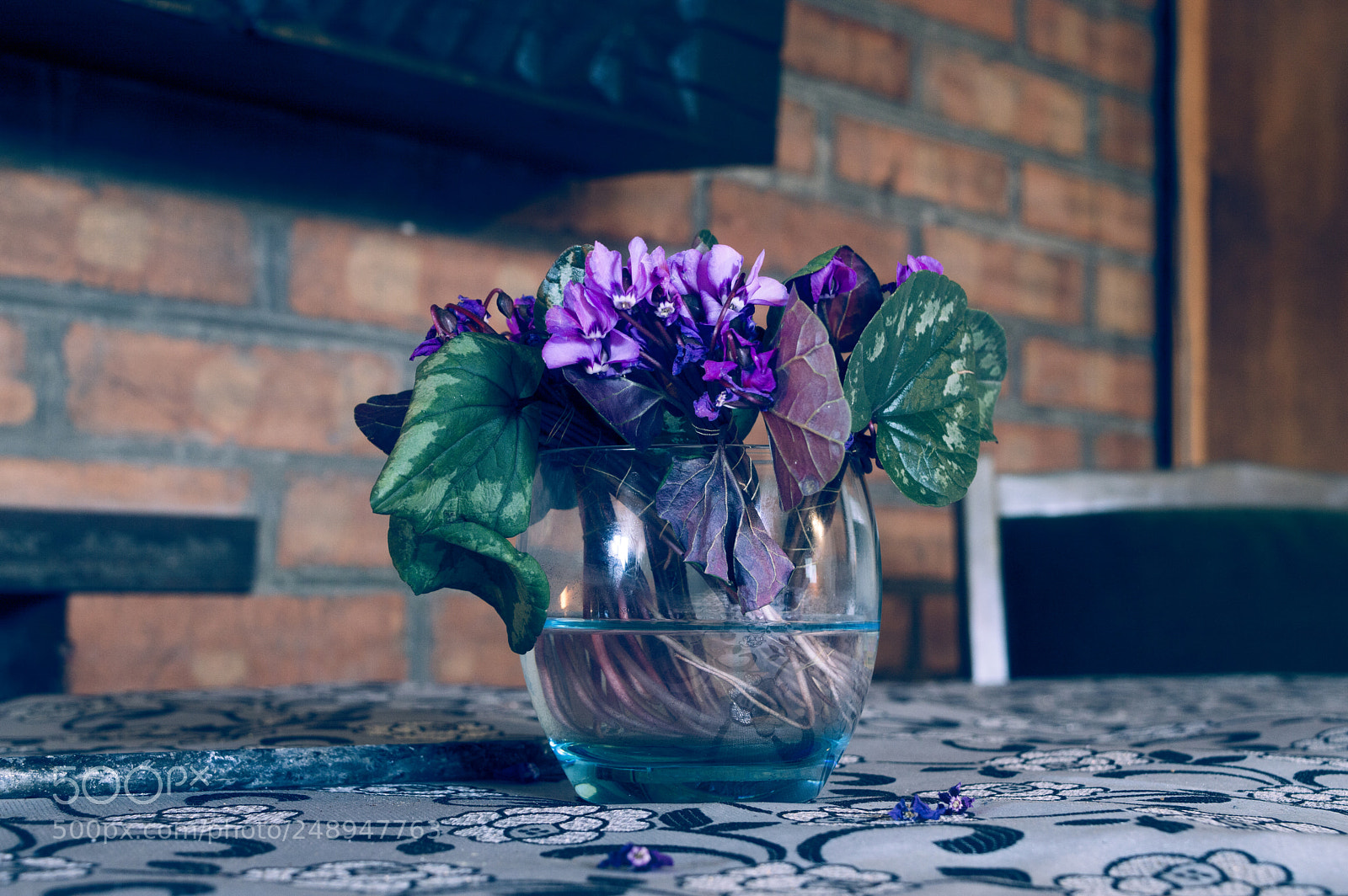 Nikon D3200 sample photo. Violet photography