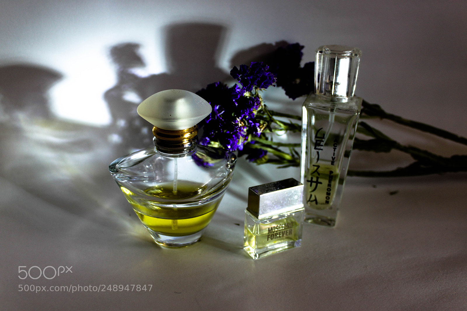 Canon EOS 500D (EOS Rebel T1i / EOS Kiss X3) sample photo. Still life photography