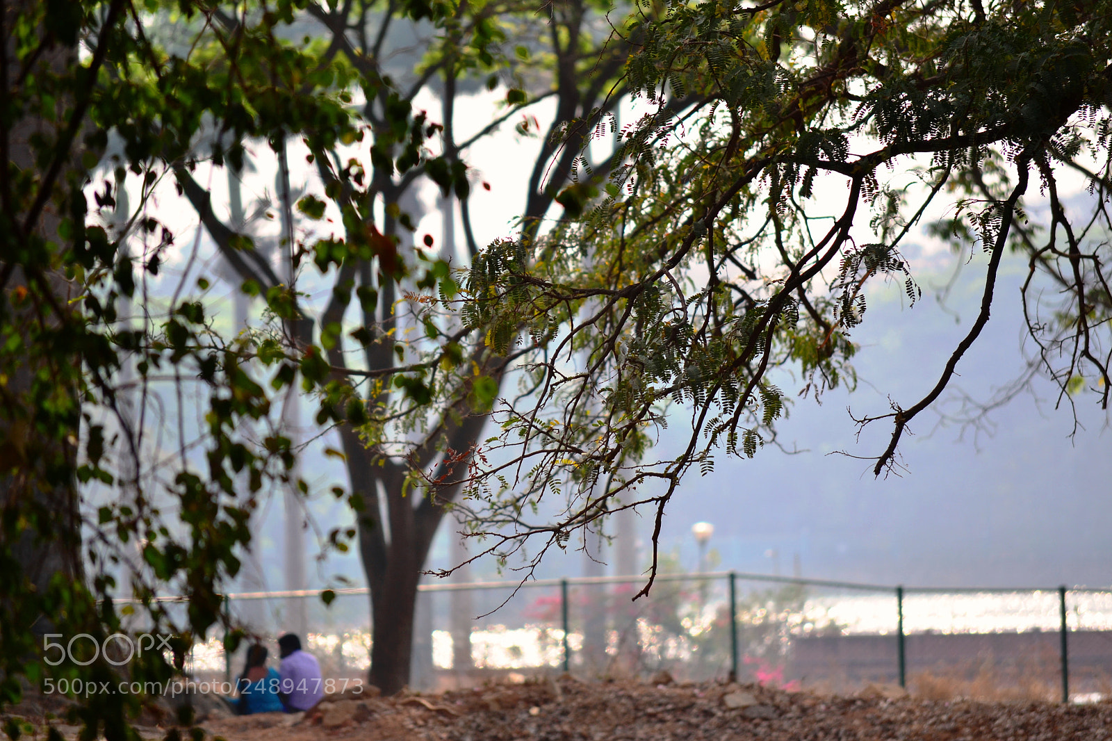 Nikon D3100 sample photo. An evening walk in photography