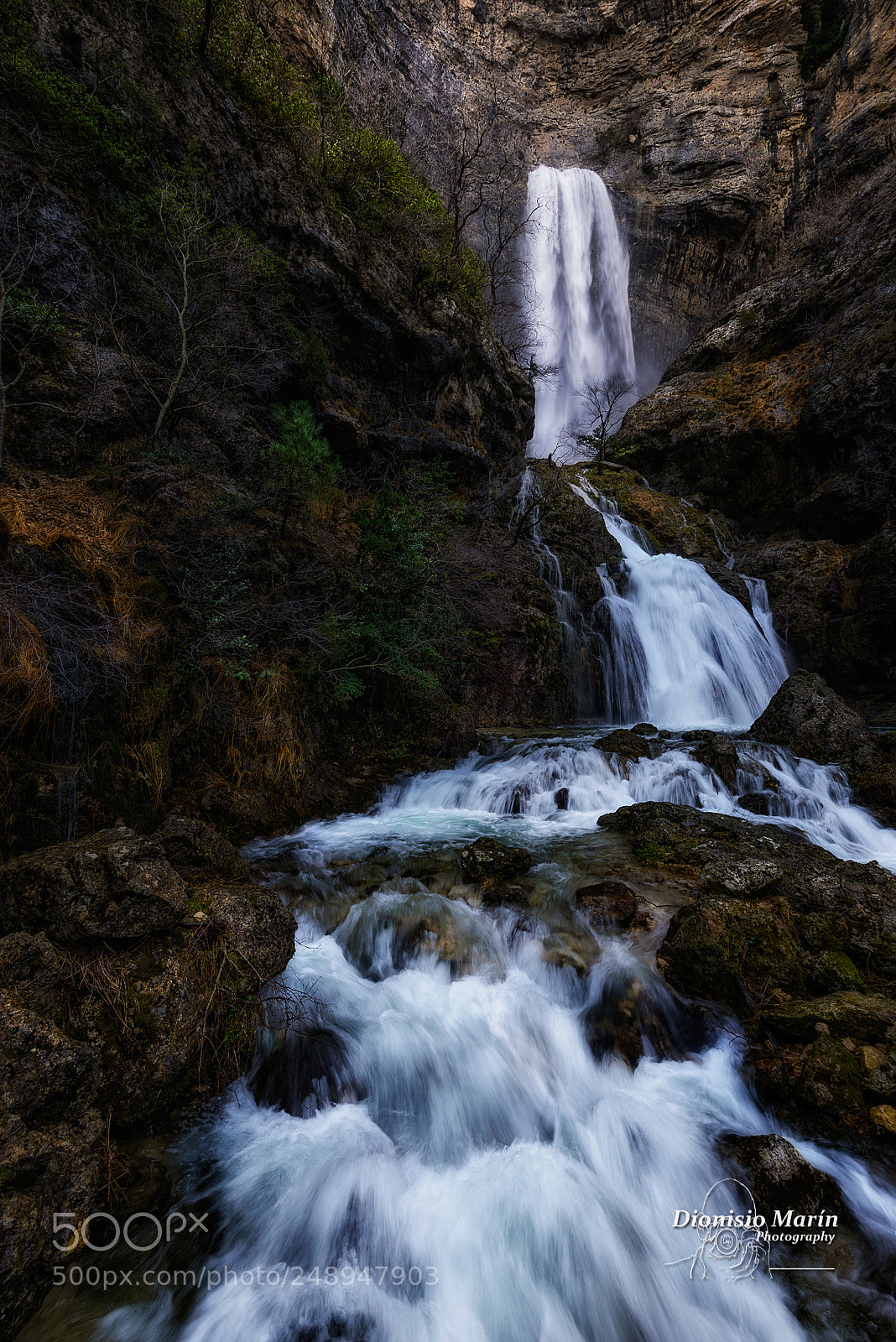 Nikon D800 sample photo. Rio mundo photography