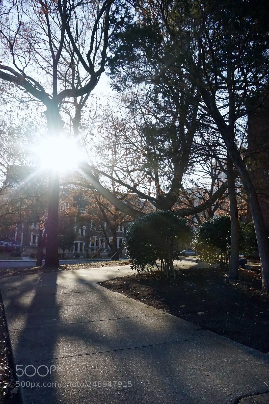 Sony a5100 sample photo. Exploring knoxville photography