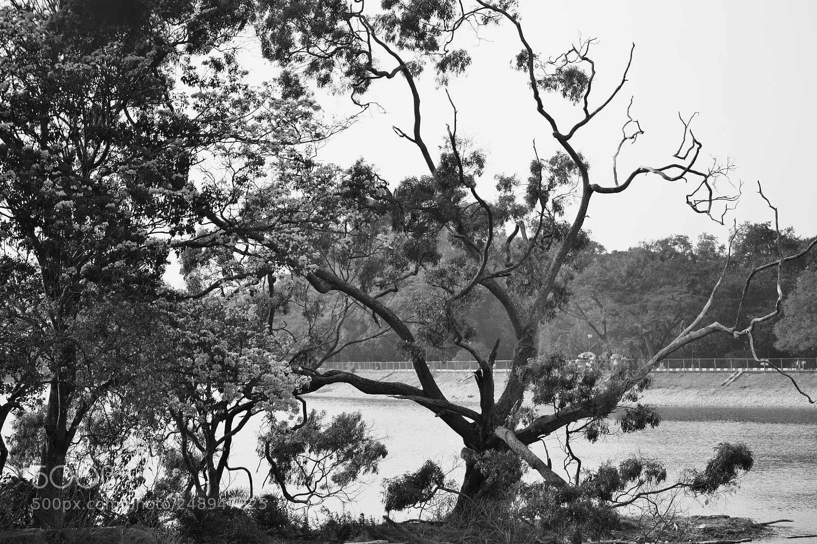 Nikon D3100 sample photo. An evening walk in photography