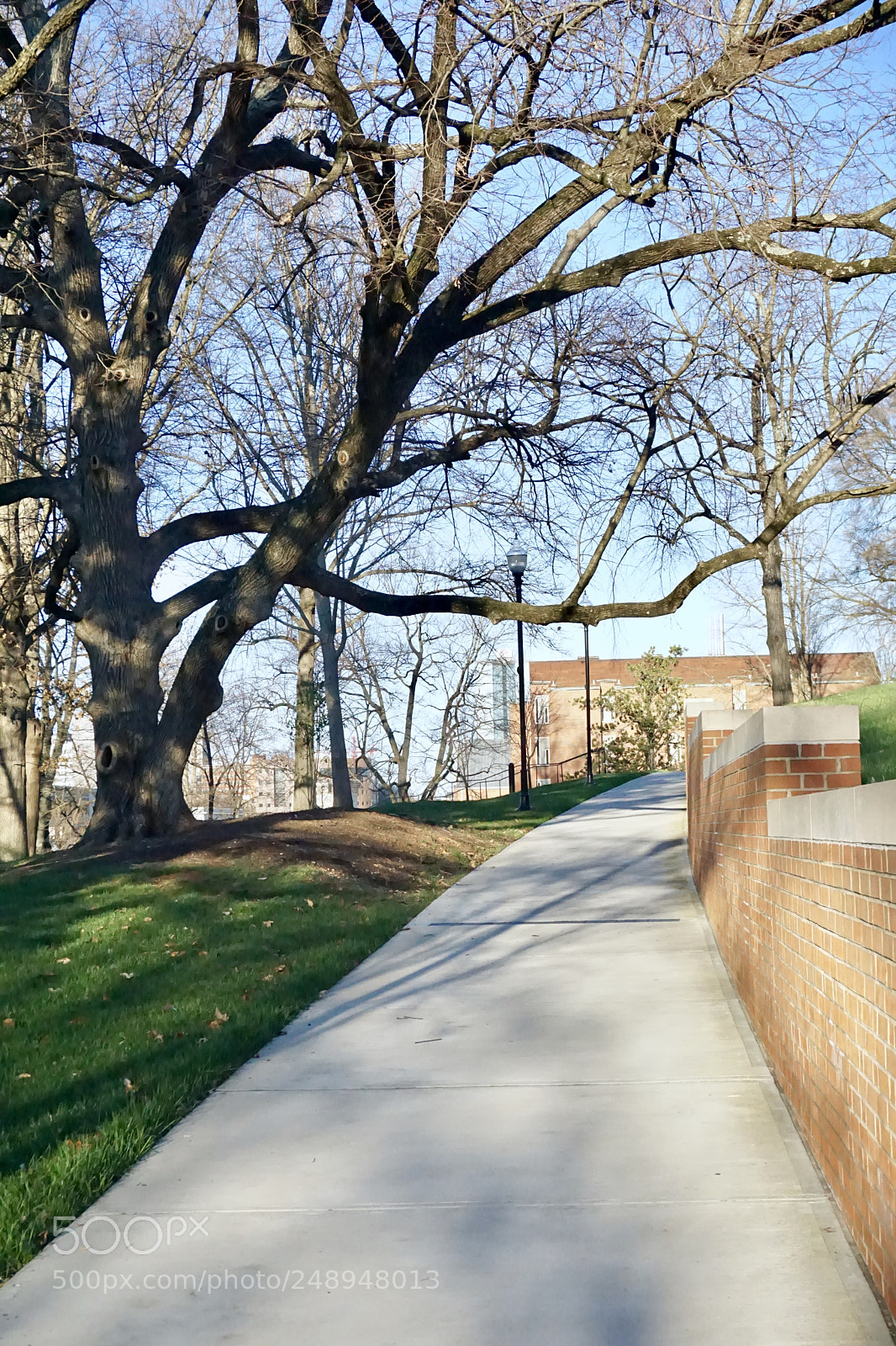 Sony a5100 sample photo. Exploring knoxville photography