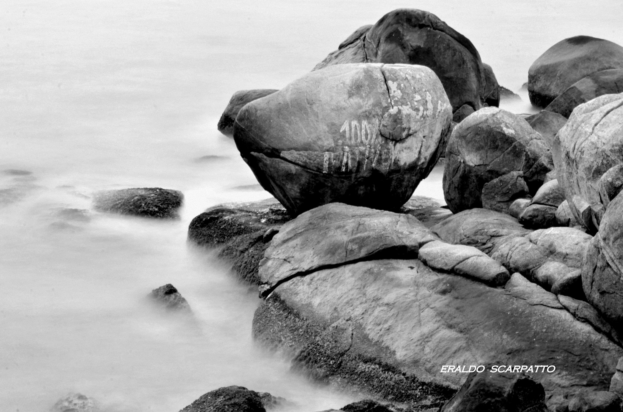 Nikon D7000 sample photo. Dsc photography