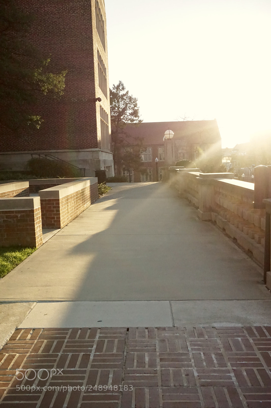 Sony a5100 sample photo. Exploring knoxville photography