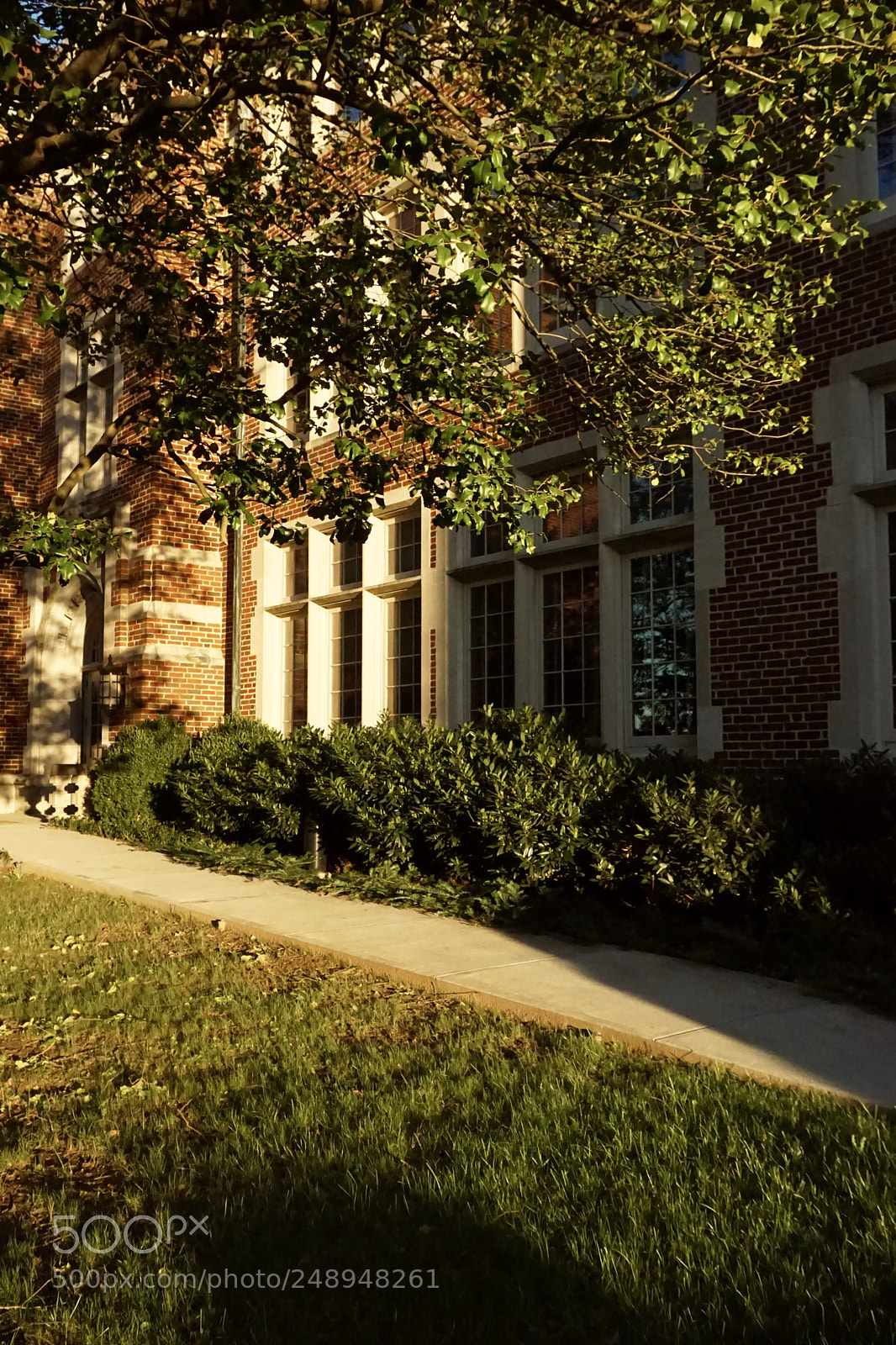 Sony a5100 sample photo. Exploring knoxville photography