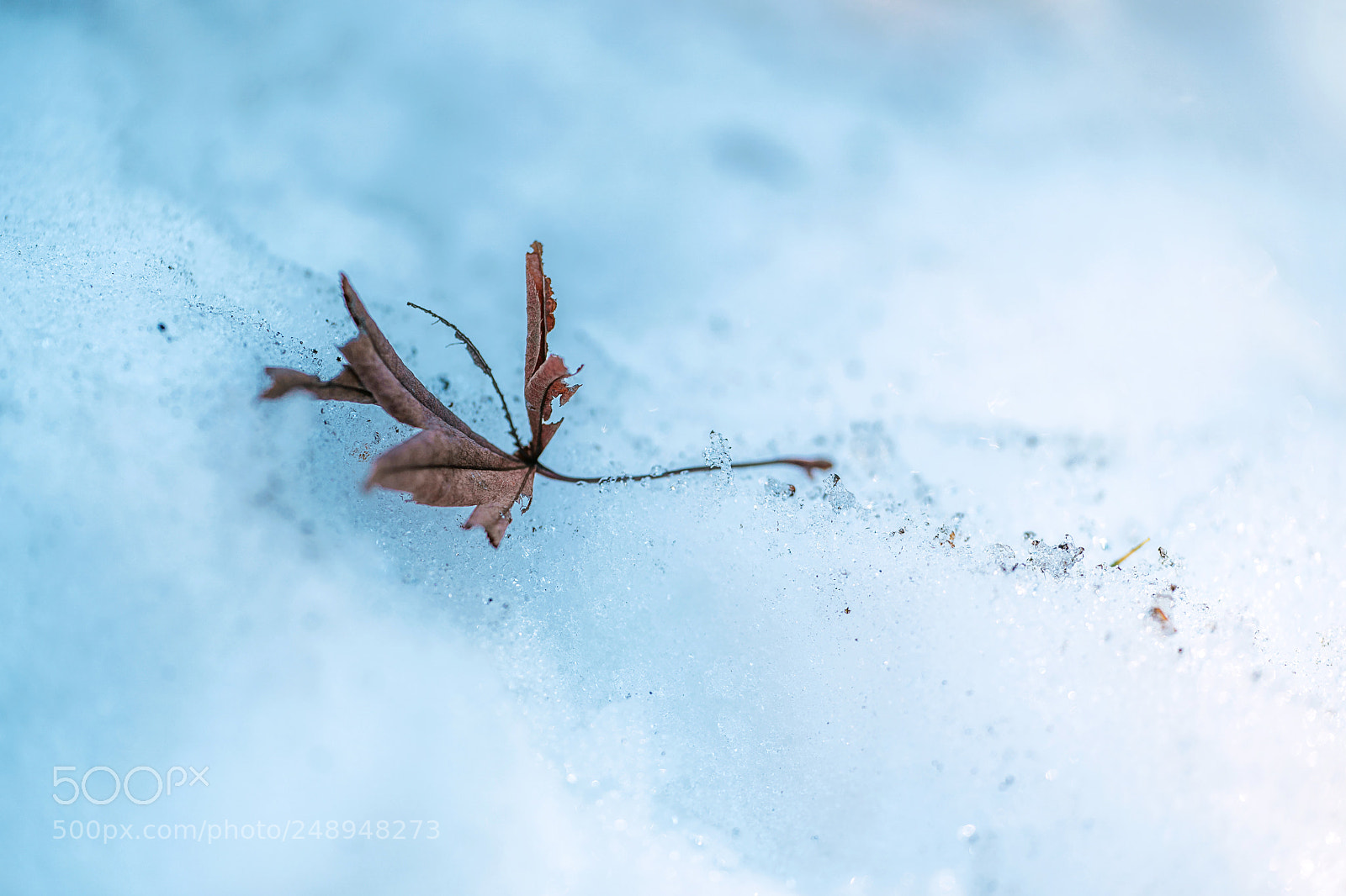 Sony a9 sample photo. Left behind photography