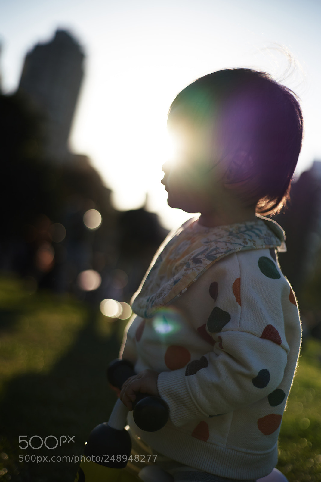 Sony a7R III sample photo. Shine photography