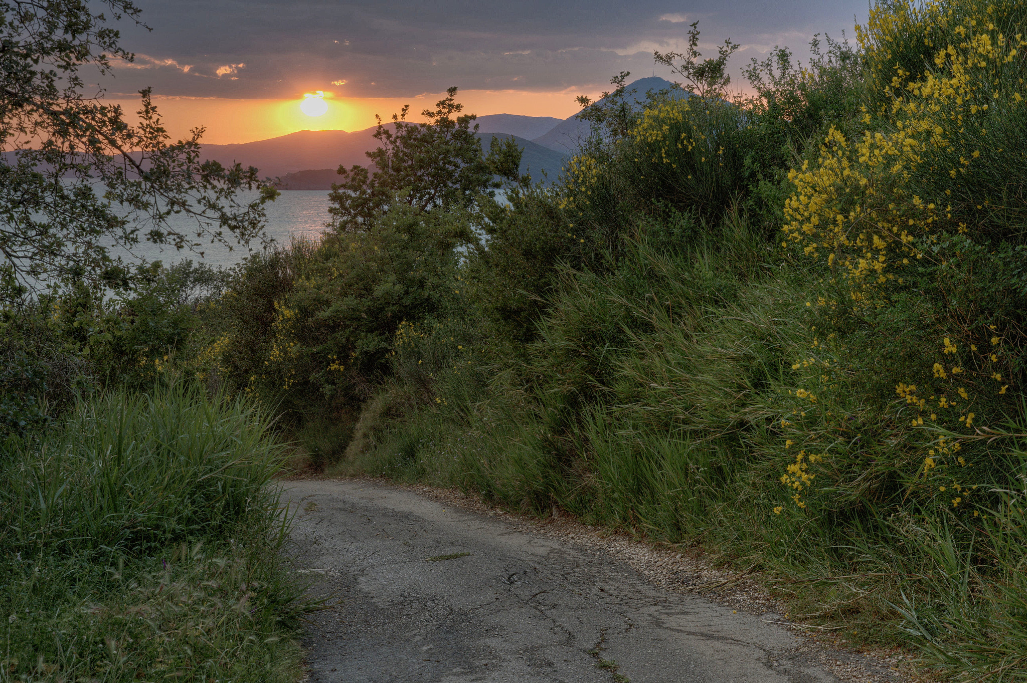 Nikon D500 sample photo. Montenegro photography