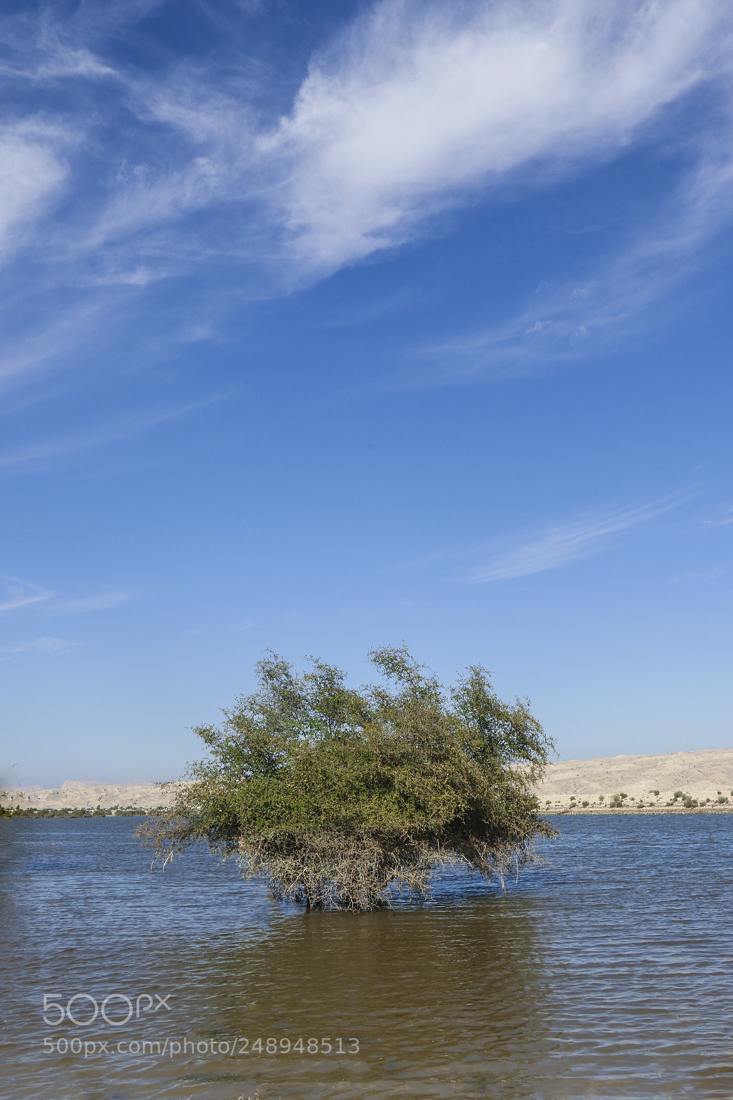 Canon EOS 7D Mark II sample photo. Landscape from south of photography