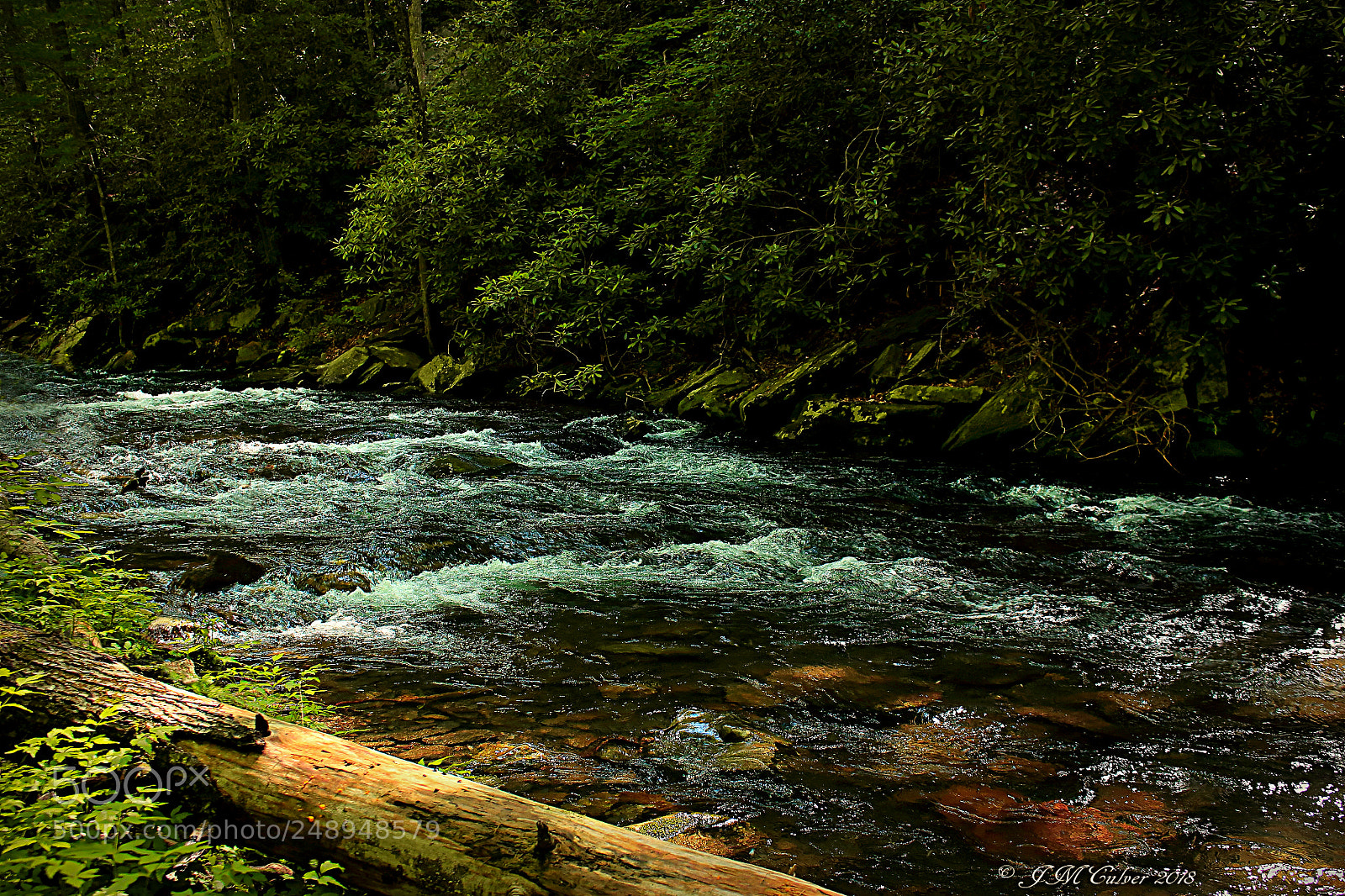 Canon EOS 700D (EOS Rebel T5i / EOS Kiss X7i) sample photo. Nantahala forest photography