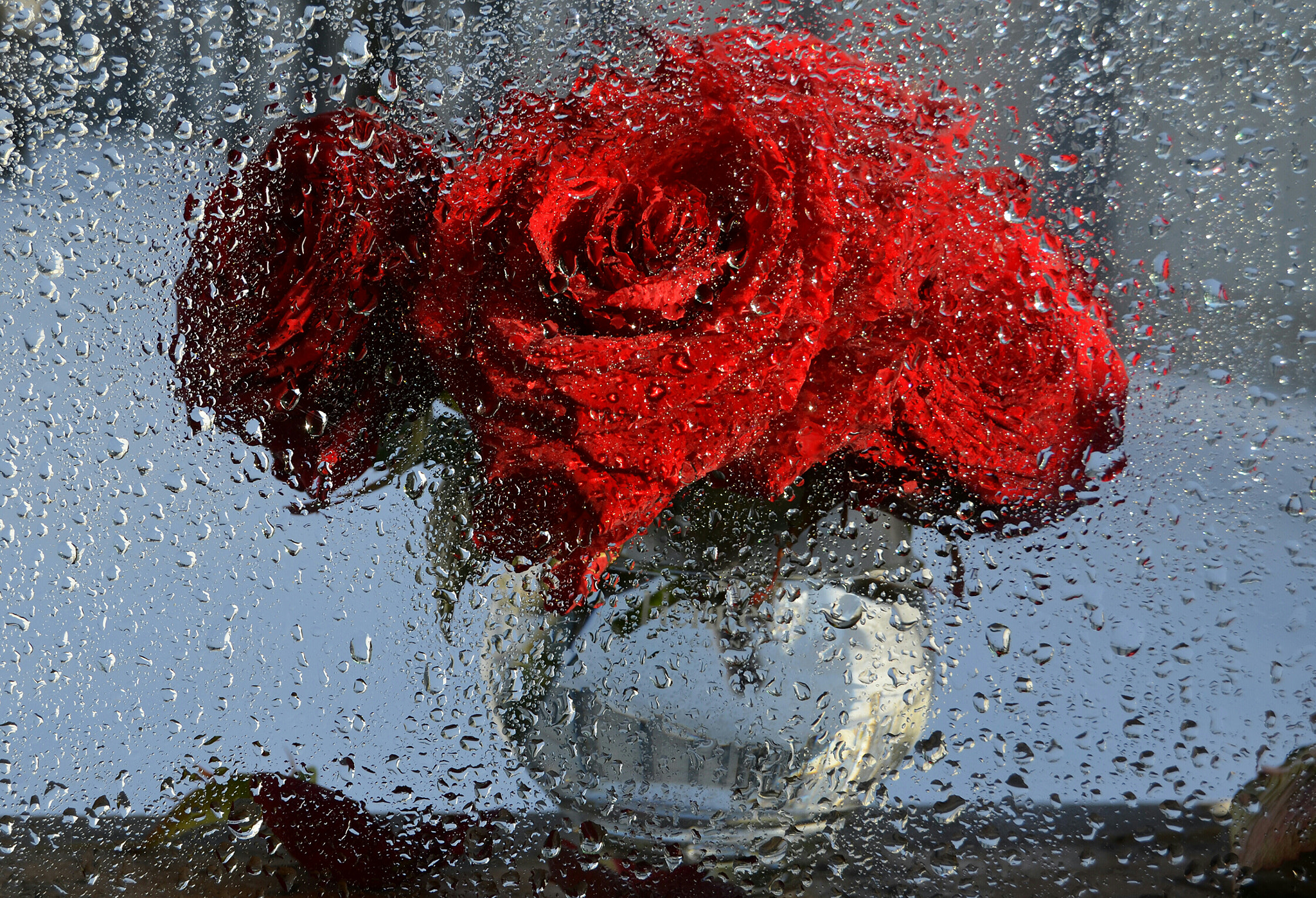 Nikon D5100 sample photo. Magic rain photography