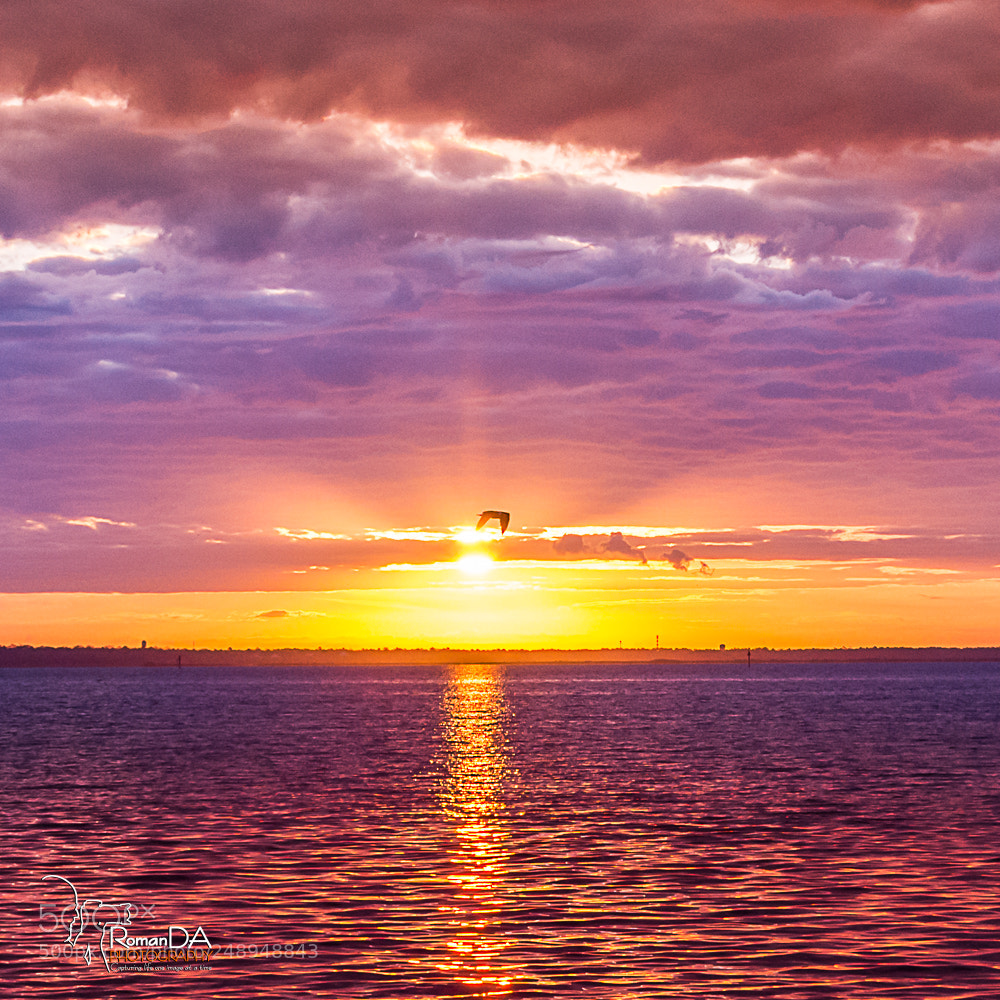 Nikon D7200 sample photo. Into the sunrise photography