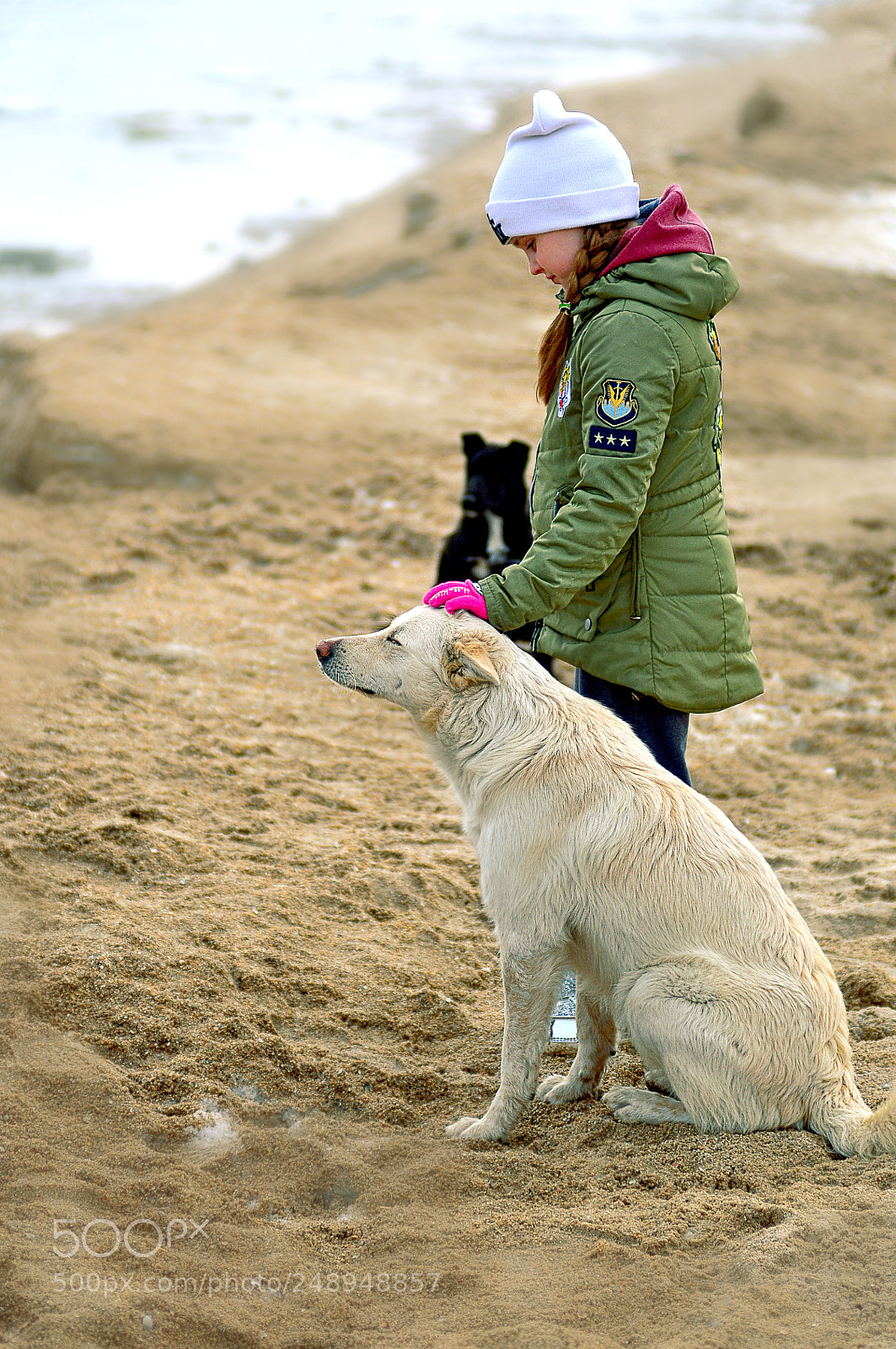 Nikon D300 sample photo. Все любят ласку photography